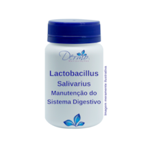 Lactobacillus Salivarius – Manutenção do sistema digestivo