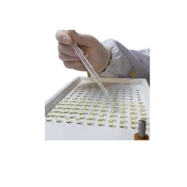 image_9e69cc64-34f1-4830-b090-f4f4c6ef351d